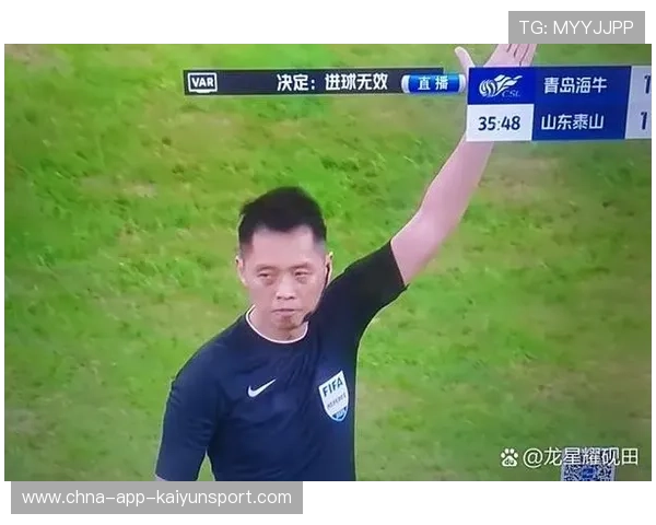 裁判视频回放判罚流程完善，提高判罚准确度，裁判视频回放判罚流程完善,提高判罚准确度的方法